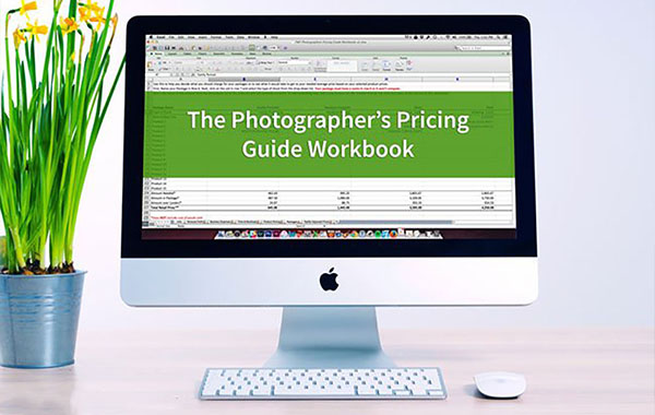 图片定价指南表格-The Modern Tog – Photo Pricing Guide Workbook