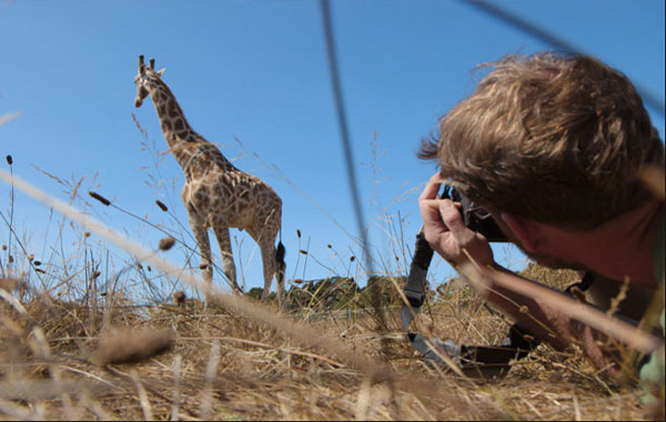动物摄影-保护区拍摄野生动物视频教程-Photographing Wildlife at a Preserve