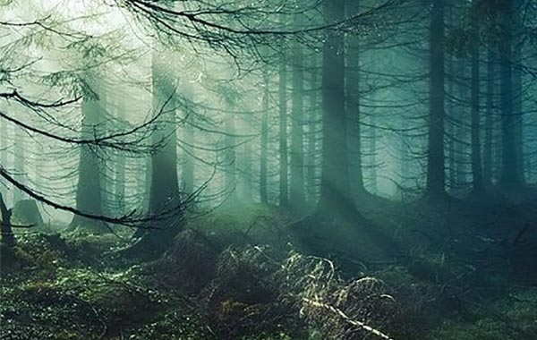 专业户外自然环境摄影视频教程-Professional Outdoor and Nature Photography: Getting Started