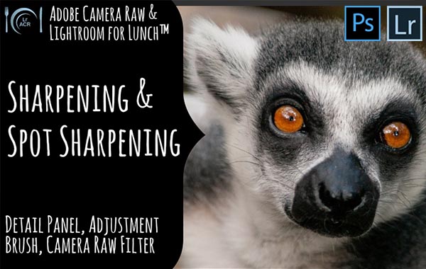 利用碎片化时间学习Adobe Camera Raw和Lightroom的锐化和定点锐化照片教程Adobe Camera Raw and Lightroom for Lunch™ – Sharpen and Spot Sharpen Photos
