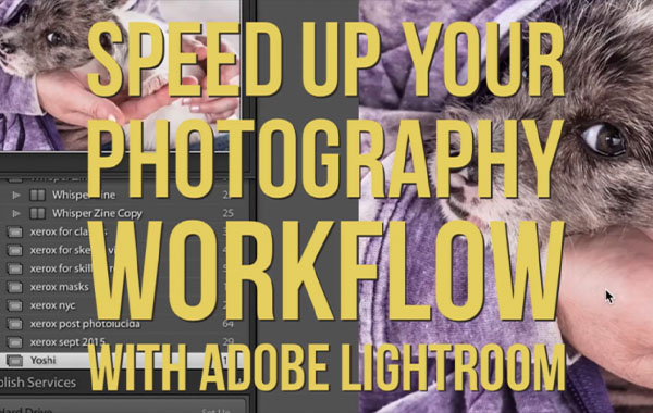 如何在LRCC中节省你的工作时间-Speed Up Your Workflow In Adobe Lightroom with David Miller