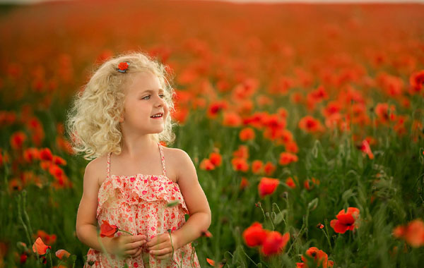 罂粟花中的小女孩照片后期处理视频教程-“My Poppy” Post Processing Tutorial – ShootCreateCaptivate