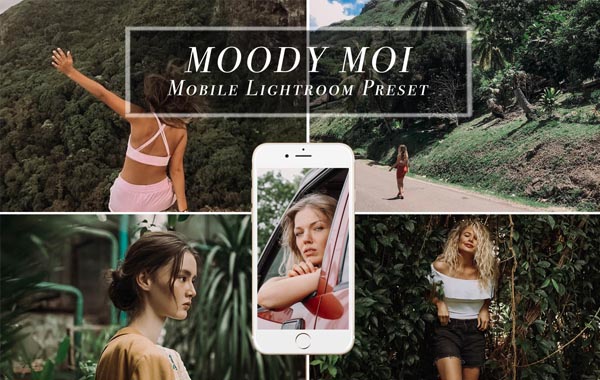 田园森系手机版LR预设调色滤镜-Mobile Lightroom Preset MOODY MOI