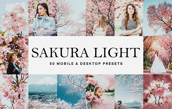 50组日系樱花旅拍LUTS LR预设 -50 Sakura Light Lightroom Presets