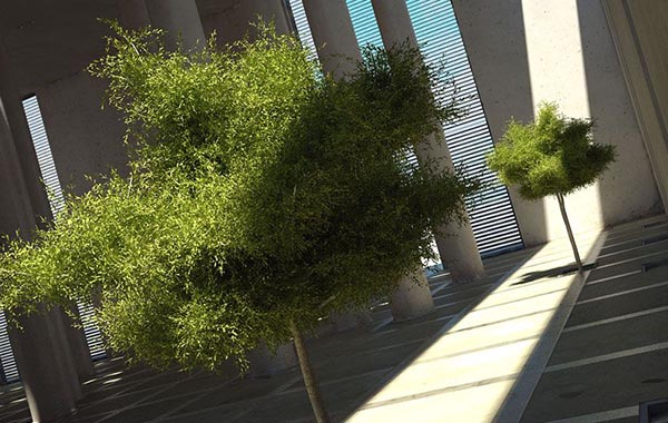 3d Max模型 Evermotion Archmodels Vol 042 户外植物-树木-热带植物-灌木-吊兰等模型合集
