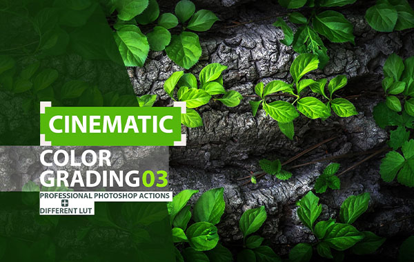 电影风格高级PS动作及/PR/AE/FCPX 达芬奇LUTS视频滤镜-Cinematic Color Grading 03 Premium photoshop action