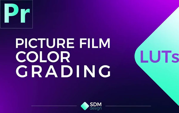 专业 LUTs 电影调色预设-Picture Film LUTs