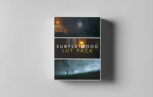 50个夜晚弱光黑暗环境电影视频调色LUTs预设-SUBTLE MOOD LUTS Win/Mac(FCPX/PR/PS/AE/达芬奇)