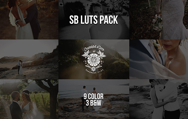 婚礼纪实调色LUTS预设-Vanessa & Ivo’s Wedding LUTs SB Pack(Win/Mac)