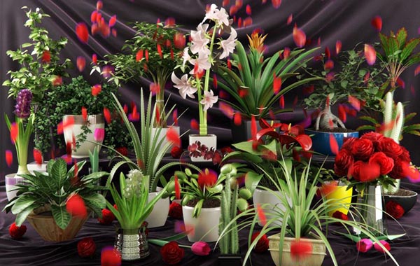 3d Max模型 Evermotion Archmodels Vol 066 植物模型-绿植-花盆等模型合集