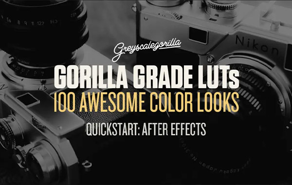 100组电影外观PS/PR/FCPX 达芬奇LUTS视频滤镜-Gorilla Grade LUTs – Greyscalegorilla