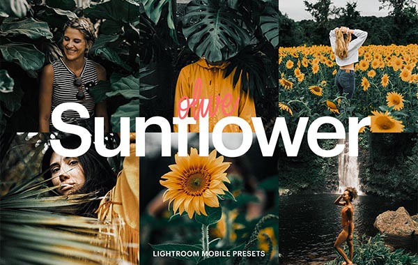 橄榄绿向日葵色人像婚礼旅拍食物手机LR预设调色滤镜-Lightroom Preset-Olive Sunflower