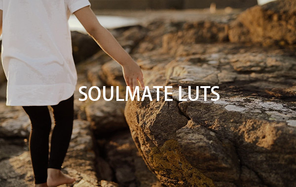 暖色调LR/PS/PR/FCPX 达芬奇LUTS调色滤镜预设-SOULMATE LUTs