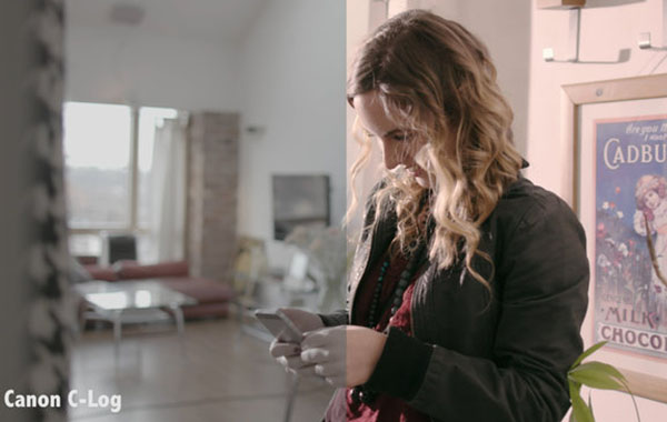 佳能C-LOG复古风格婚礼LR预设调色PS/PR/FCPX 达芬奇LUT视频滤镜-Daniel John Peters-Canon Clog