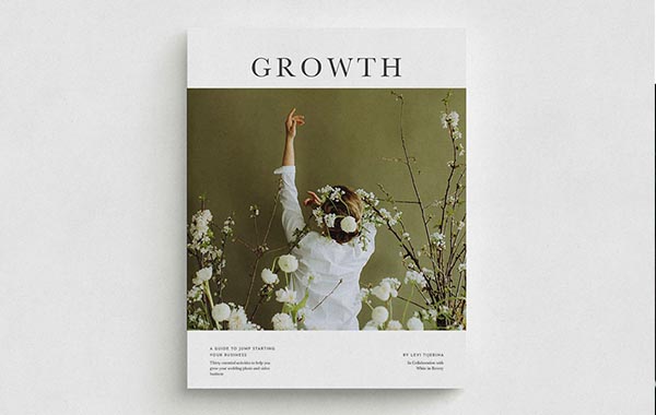 个人职业规划行动指南-Growth Book – India Earl Education