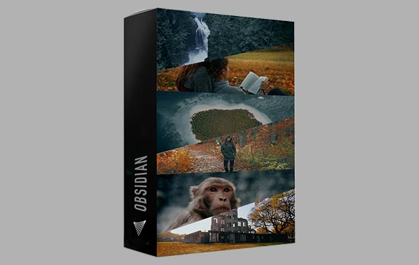 专业电影视频LUST预设调色滤镜-30 PROFESSIONAL & CINEMATIC VIDEO FILTERS Visualsfirst Obsidian LUTs