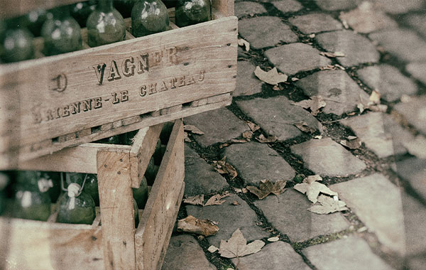 Nik 2018软件基础培训教程(Nik 2018 Software Essential Training)