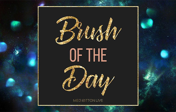 PS笔刷-Brush of the Day — Meg Bitton Live