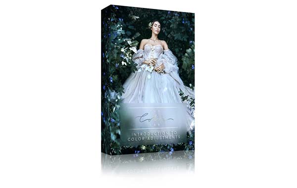 颜色调整简介视频教程-The Color Lab – Intro to Color Adjustments by Bella Kotak (The Color Course)