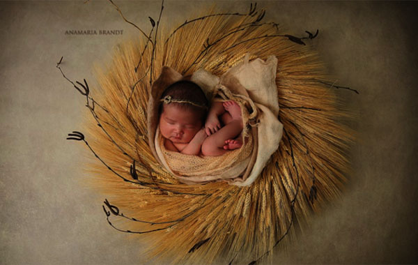 如何在孕产妇和新生儿摄影中创造一个长期的职业生涯-How to Create a Long Lasting Career in the Specialty of Maternity and Newborn by Ana Brandt