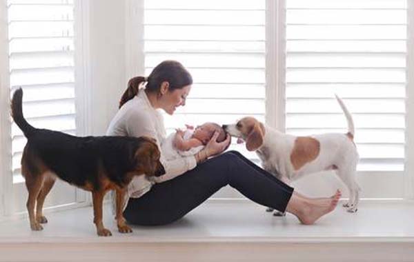 家庭摄影-新生儿婴儿和家庭成员合照摄影视频教程-In Home Shoot: Sibling with Newborn by Emily Lucarz