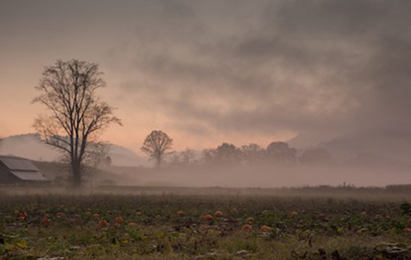 风景摄影:创造视觉口才-Landscape Photography: Creating Visual Eloquence