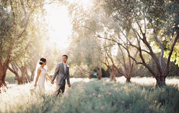 婚礼婚纱摄影姿势和灯光知识摄影视频教程-CreativeLive – Lighting and Posing for Wedding Photographers