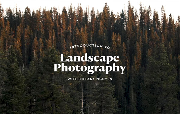 风景摄影拍摄视频教程-Tiffany Nguyen – Introduction to Landscape Photography