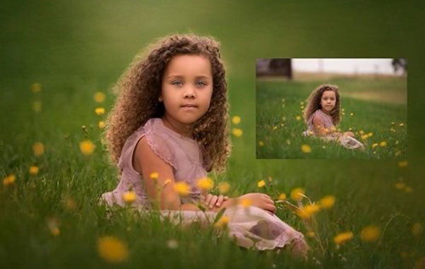 梦幻蒲公英-小女孩照片后期处理修饰视频教程-Dreamy Dandelions – Painterly Editing – WorkshopSummerana