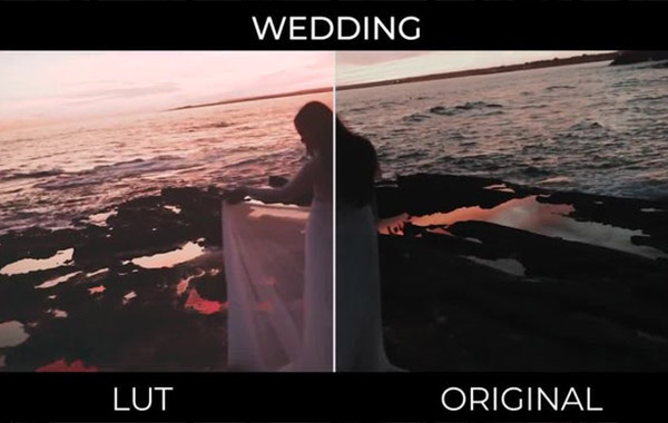 婚礼纪实PS/PR/FCPX 达芬奇LUTS调色滤镜预设-Wedding LUTs