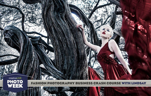 商业时尚摄影视频教程升级版-Business of Fashion Photography by Lindsay Adler (Updated)