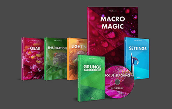 专业摄影-微缩摄影视频教程-Expert Photography – Macro Magic with Joshua Dunlop