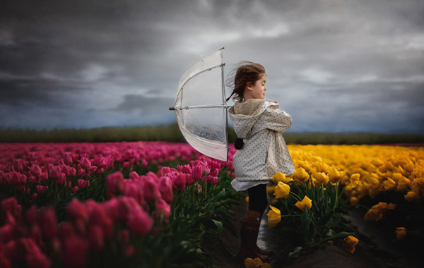 彩色生活-在照片中创造大胆丰富的色彩-Life in Color: Creating bold, Rich Color in Your Photographs