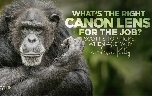 怎么使用正确使用佳能镜头拍摄-最佳选择的时间和原因-What’s the Right Canon Lens for the Job? Scott’s Top Picks, When and Why