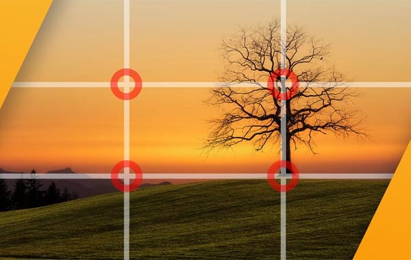 初学者摄影入门视频教程-Beginner Photography Composition Course