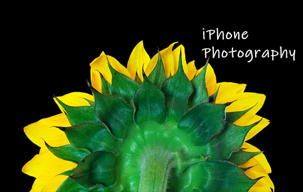 手机摄影教程-充分发挥iPhone的潜力-iPhone Photography: Use your iPhone Camera to its Full Potential!