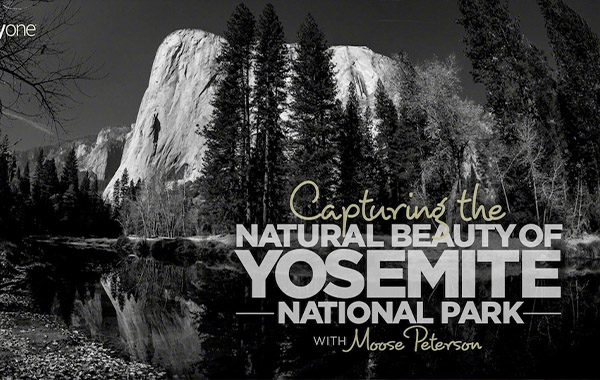 风景摄影-拍摄国家公园优美的自然风景视频教程-Capturing the Natural Beauty of Yosemite National Park with Moose Peterson