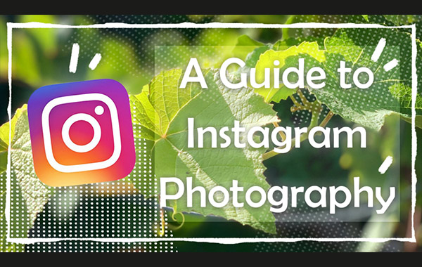 社交媒体朋友圈等拍摄美食宠物时尚等照片摄影视频教程-A Guide to Instagram Photography with Sarah Gutierrez