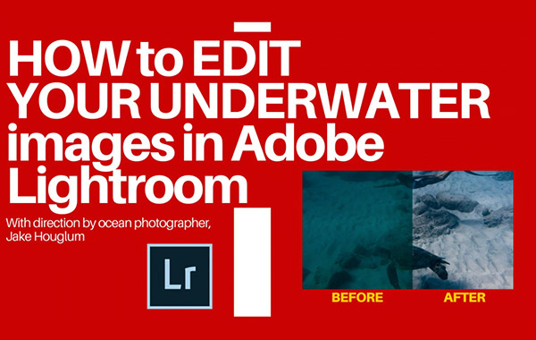 LR编辑教程-水下照片后期处理调色修饰视频教程-Editing Underwater Images in Adobe Lightroom with Jake Houglum