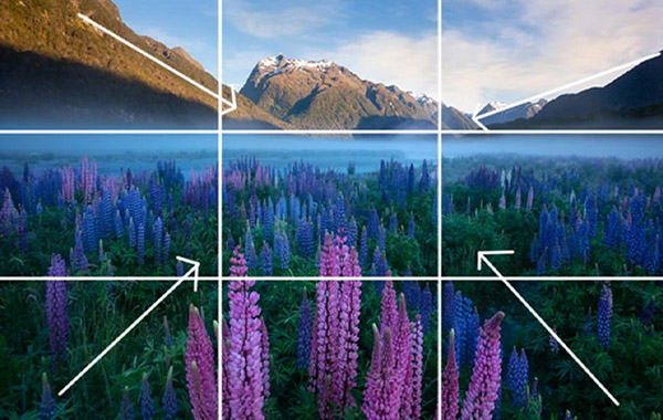 摄影构图理论知识视频教程-Into The Light – ‘Composition Episode’