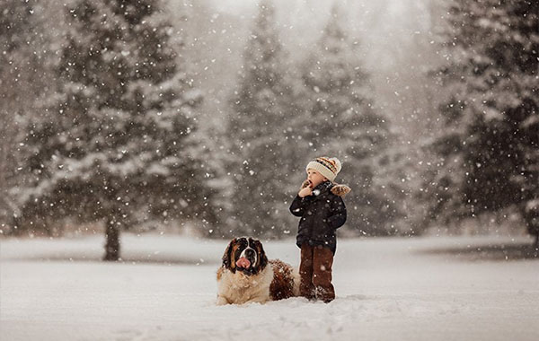 小孩和狗冬季下雪照片后期处理调色编辑视频教程-ClickinMoms: Fall + Winter Editing Videos by Meg Loeks