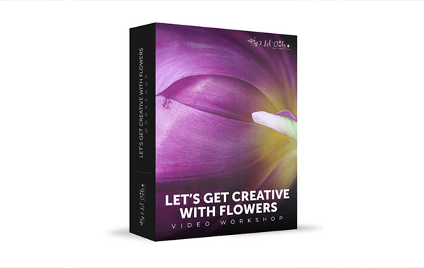 创意花朵拍摄摄影视频教程-Lenslab – Creative With Flowers – Workshop