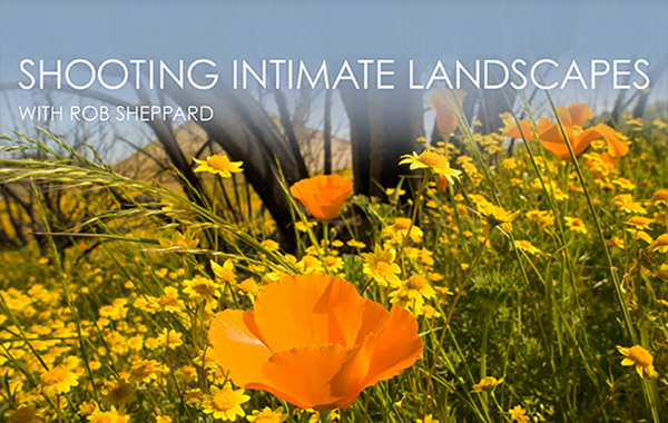 风景摄影视频教程-Shooting Intimate Landscapes with Rob Sheppard