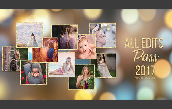 100部人像婴儿孕妇儿童等后期编辑处理调色视频教程合集-All Edits Pass 2017 by Meg Bitton Live