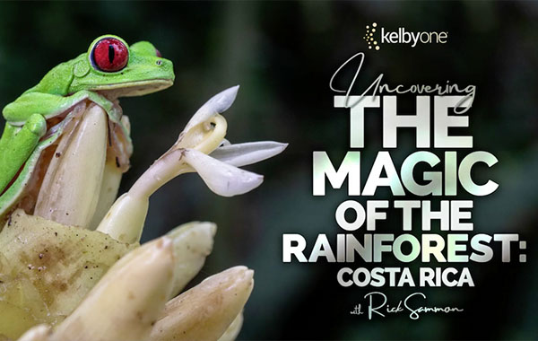 揭开热带雨林的神秘面纱-野外摄影视频教程-Uncovering the Magic of the Rainforest: Costa Rica with Rick Sammon
