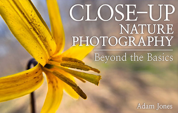 自然景观微距摄影视频教程-Close-Up Nature Photography: Beyond the Basics with Adam Jones