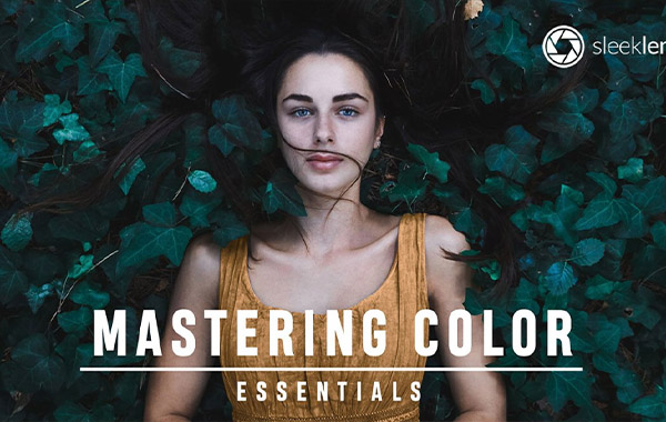 掌握色彩基础知识视频教程-Mastering Color Essentials Course by Sleeklens