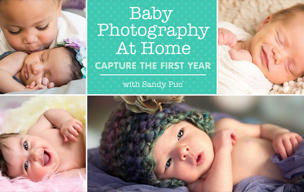 婴儿新生儿家中摄影视频教程-Baby Photography at Home: Capture the First Year with Sandy Puc