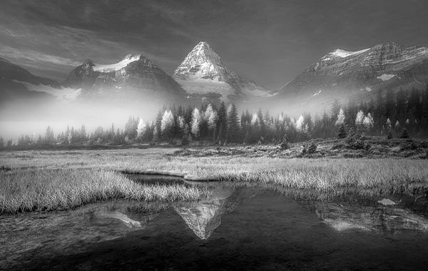 Adobe Lightroom中的创意黑白处理-Creative Black and White Processing in Adobe Lightroom