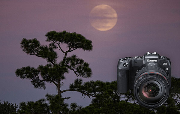 体验佳能EOS RP以获得出色照片所需的一切-Hands On with the Canon EOS RP Everything you Need to Know to Get Great Shots with Erik Kuna